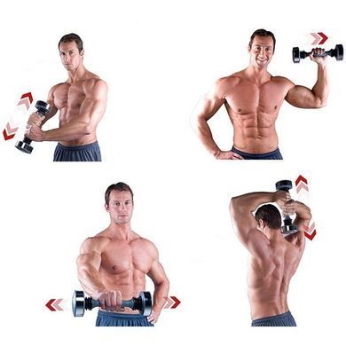 Гантель для фитнеса 1,55кг 1шт виброгантель ShakeWeight CNSM512