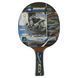 Ракетка для настольного тенниса в чехле DONIC Legends Platinum MT-754432