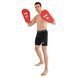 Лапа боксерська пряма подовжена тренувальна Кожвініл BOXER NEW 2009-N колір чорний
