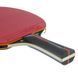 Ракетка для настільного тенісу DUNLOP BLACKSTORM SPIN MT-679200