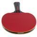 Ракетка для настільного тенісу DUNLOP BLACKSTORM SPIN MT-679200