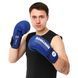 Перчатки боксерские HARD TOUCH BO-4436 размер 10 унции цвет черный