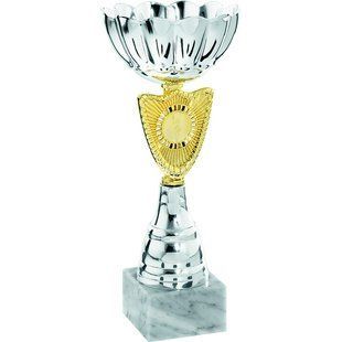 copy_Кубок спортивний нагородний висота 25см срібний 16915B