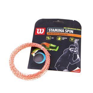 Струни Wilson Stamina Spin нейлон WSS18