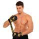Перчатки Крабы спаринговые для MMA FISTRAGE VL-5521 размер S цвет черный-золотой
