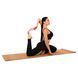 Кольцо для йоги и растяжки Zelart YOGA PILATES RING FI-0762 цвета в ассортименте