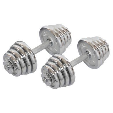 Гантели разборные стальные хромированные 27кг HIGHQ SPORT TA-0013-27CH 2шт по 13,5кг хром