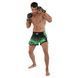 Шорти для тайського боксу та кікбоксингу FAIRTEX BO-9474 розмір S колір чорний-червоний
