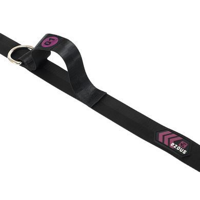 Дверное крепление для эспандеров и подвесных тренажеров FASTEN TYPE DOOR ANCHOR EZOUS G-05 черный-фиолетовый