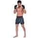 Шорты для тайского бокса и кикбоксинга FAIRTEX BS1902 размер M