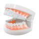 Капа перфорированная одночелюстная Perforated mouthguar в футляре Zelart BO-7419 цвет фиолетовый